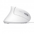 Mouse Ergonómico Trust Verto, Alámbrico, Óptico, 1.600DPI, USB-A, Blanco  6