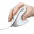 Mouse Ergonómico Trust Verto, Alámbrico, Óptico, 1.600DPI, USB-A, Blanco  2