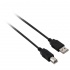 V7 Cable USB A Macho - USB B Macho, 1.8 Metros, Negro  1