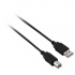 V7 Cable USB A Macho - USB B Macho, 1.8 Metros, Negro