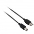 V7 Cable USB A Macho - USB B Macho, 4.8 Metros, Negro  1