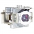 ViewSonic Lámpara RLC-098, 4000 Horas, para PJD6552LW/PJD6552LWS  1