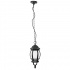 Volteck Lámpara LED Colgante 46343, Interior, Luz Cálida, 8W, 290 Lúmenes, para Casa