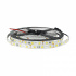 Winled Tira de Luces LED Blanco WTI-004, Regulable, 5 Metros, 72W  1