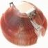 Disipador CPU Zalman CNPS7500-CU LED, S-1156/775, AM2/AM3, 2300RPM  3