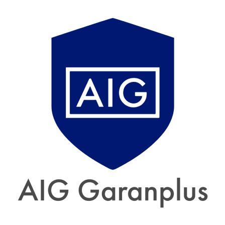 AIG logo