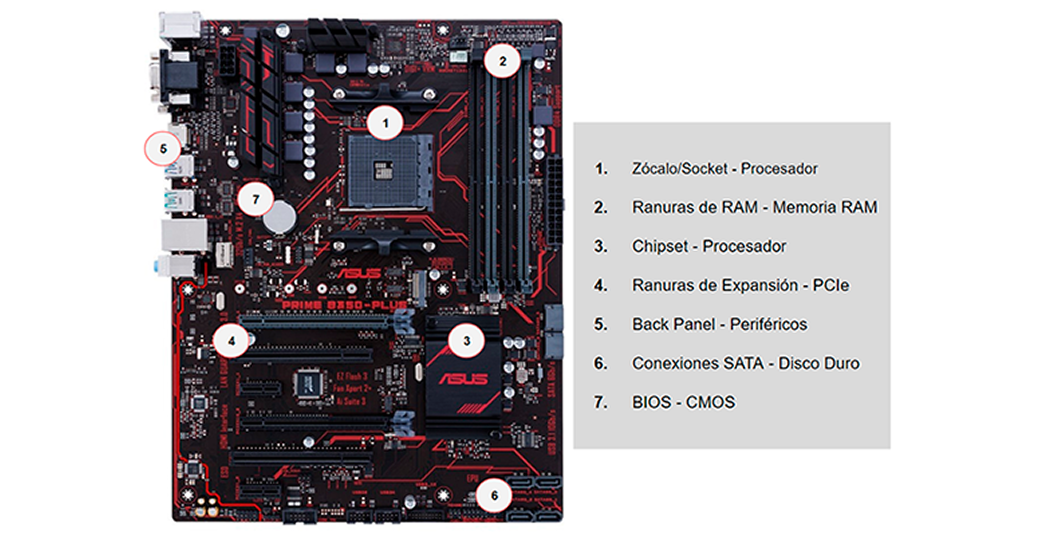 Componentes de la tarjeta madre