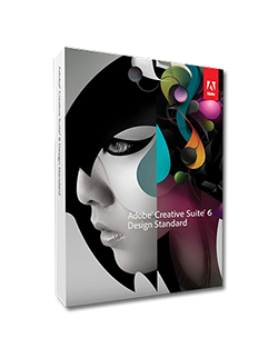 Categoria de Diseño y Multimedia