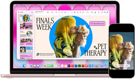 MacBook Neo, color rosa rubor, junto a un iPhone, la pantalla de la MacBook Neo muestra una presentación en pantalla sobre terapia con mascotas y exámenes de fin de año con la foto de una persona que sostiene un cuyo, la pantalla del iPhone muestra la misma foto convertida en un sticker para usar en la presentación