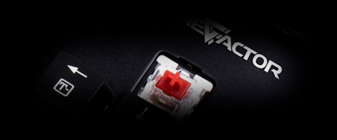 Teclado Mecánico Tenkeyless Gamer KBG500