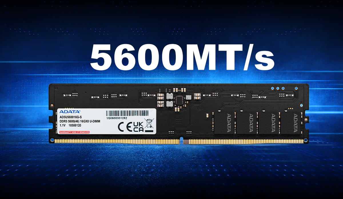 r56001200x69501.jpg
