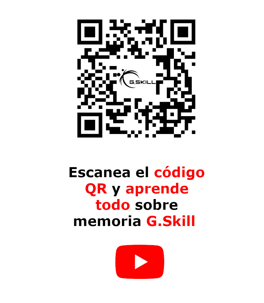 GSKILLQRYOUTUBEASSETVERTICAL.jpg