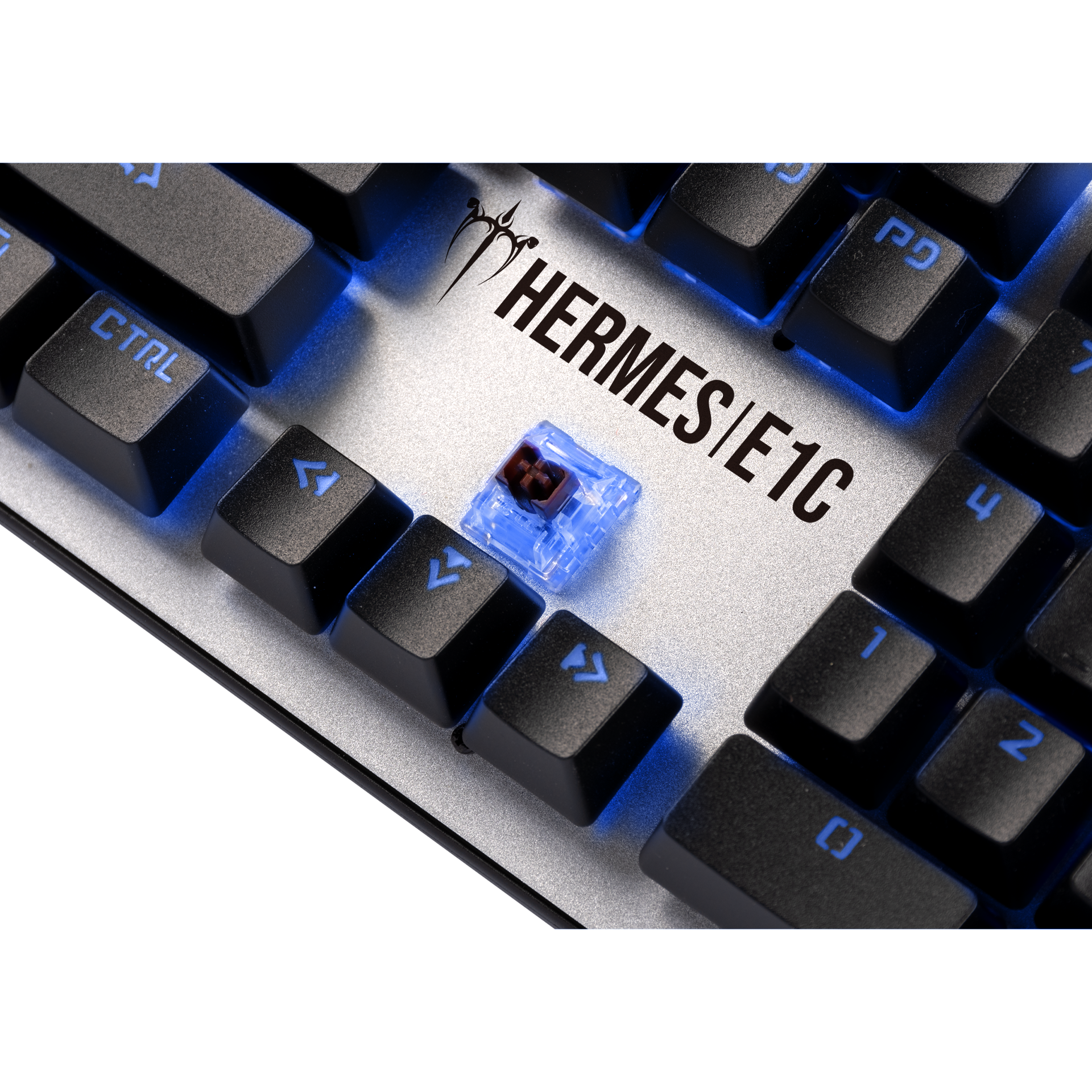 HERMESE1CCOMBOExh4.png