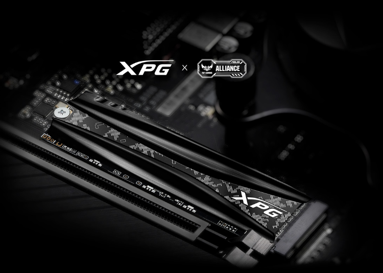 XPG3.png
