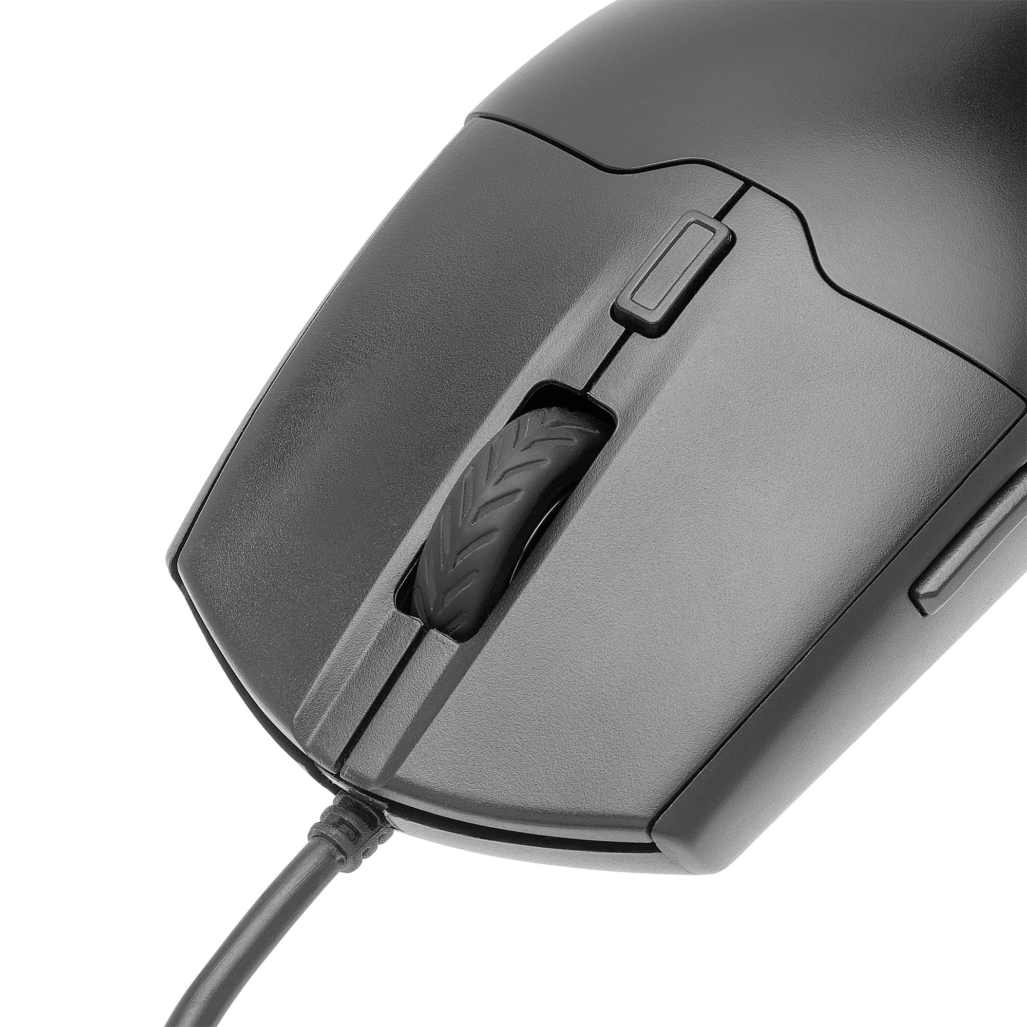 20002000max13.jpg